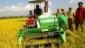 Unit pelaksana tehnis pelatihan kerja situbondo( upt pk) upt pelatihan kerja situbondo. Selain Kabar Impor Beras Ini Penyebab Harga Gabah Di Situbondo Bakal Hancur Sebelum Panen Surya