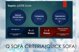 Image result for qSOFA Score