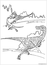 Printable velociraptor dinosaur coloring page. Velociraptor From Dinosaurs Coloring Pages Dinosaurs Coloring Pages Coloring Pages For Kids And Adults