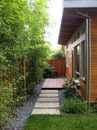 Some species are adaptable for growing in the ground and in containers. Pin By Soco Rella On Side Yards Small Backyard Landscaping Backyard Landscaping Designs Modern Landscaping