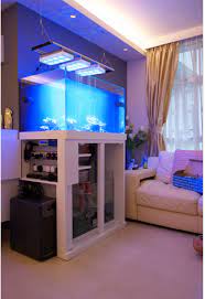 您是否正在将水族箱系统提升到新的水in 2021 glass fish tanks stainless steel brackets coral aquarium