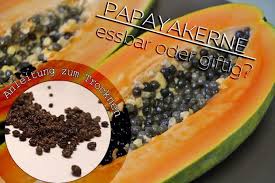 Mit einem löffel können sie nun die bitteren kerne entfernen. Papayakerne Essbar Oder Giftig Anleitung Zum Trocknen