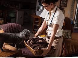 Check spelling or type a new query. Aftercare Lap Of Love