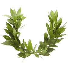 In Memory and In Honor