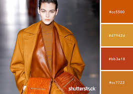 Now most people think earth tones are boring. Cozy And Luxurious Using Earth Colors In Your Designs