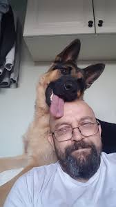 He thinks my bald head is a lollypop.🤣🤣