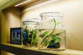 Best self cleaning fish tank reviews. Self Cleaning Fish Tanks The Best 5 Reviewed Fish Tank World