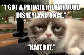 Your daily dose of fun! Grumpy Cat Has The Worst Day At Disneyland Ever Grumpy Cat Quotes Funny Grumpy Cat Memes Grumpy Cat