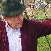 PDF) On the Genealogy of Wesley's Miltonism