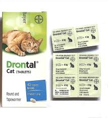 Maybe you would like to learn more about one of these? Ubat Cacing Kucing Tablet Price Promotion Aug 2021 Biggo Malaysia