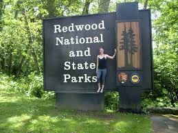 Comprising redwood national park (established 1968) and california's del norte coast, jedediah smith. Backpackers Guide To Redwood National Park California