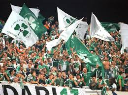 382704 likes · 7431 talking about this. Panathinaikos Banned From European Football For Three Years By Uefa Over Unpaid Debts The Independent The Independent