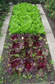 Home services experienced pros happiness guarantee. Vegetable Gardening 101 Top 10 Mistakes To Avoid Install It Direct