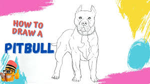 Pitbull clipart easy draw pitbull easy draw transparent. How To Draw Realistic Pitbull Youtube