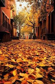 صور عن الخريف أجمل خلفيات عن فصل الخريف beautiful fall nature scenery