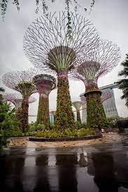 Gardens By The Bay In Singapore Singapore Garden Gardens By The Bay Garden Services