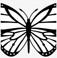 Coloring page butterfly quilts butte. Butterfly Outline Clipart Butterfly Outline Clipart Butterfly Clupart Free Transparent Png Download Pngkey