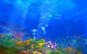 Download Wallpapers Download 2560x1600 Abstract Coral Under Sea Wallpaper Free Wallpapers Download Sea Pictures Under The Sea Wallpaper Sea Life Wallpaper