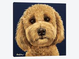 Select a product, upload a photo, and we'll find the best artist to paint goldendoodle paintings. Goldendoodle On Navy I Canvas Art Print By Hippie Hound Studios Icanvas