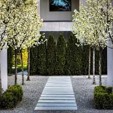 Emerald Green Arborvitae Walkway Landscaping Modern Landscaping Landscape Design