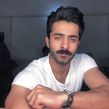 Image result for sheheryar munawar
