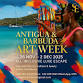 Antigua and Barbuda Art Week event in St John's