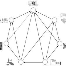 Image result for Pseudoeriosema borianii