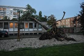 About press copyright contact us creators advertise developers terms privacy policy & safety how youtube works test new features press copyright contact us creators. Burza Poznan Artykuly Glos Wielkopolski