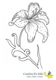 The inside is full of cheerful big drawings perfect for. Let Your Kids Come To Know About This Beautiful Flower And Ask Them To Draw It In Their Drawing Books And Make It Look More Attrac Flower Drawing Drawings Lily