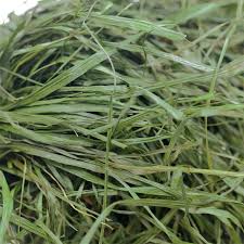 究極の乾燥牧草 イタリアンライグラス 40g