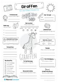 Der steckbrief ist eine möglichkeit, um personen, tiere oder themen zu beschreiben. Die Giraffe Materialguru