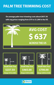 How much does it cost to trim a palm tree in arizona. Palm Tree Trimming Cost 2020 Average Prices Liberty Tree