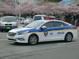 Nov 17, 2017 · the police and the security services and government officials live better these days. Law Enforcement In South Korea Wikipedia