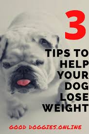 Pin On Weight Loss Kids