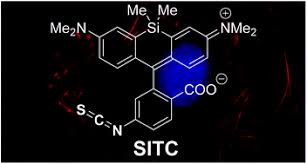 We did not find results for: Silicon Rhodamine Isothiocyanate For Fluorescent Labelling Organic Biomolecular Chemistry Rsc Publishing