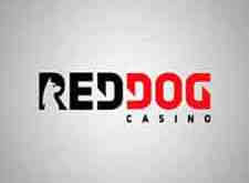 Check spelling or type a new query. Red Dog Casino Bonus Codes Rtg Casino Bonus Codes