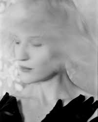 The Ernest Hemingway House December 9, 2019 Featuring Bobby Dean diggin' a  calico polydactyl kitten