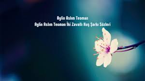 Aylin Aslim Teoman Iki Zavalli Kus Sozleri Http Sarki Sozleri Web Tr Aylin Aslim Teoman Iki Zavalli Kus Sozleri Sarki Sozleri Sarkilar Gece