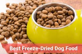 While it can be daunting to start a raw diet, it offers a lot of benefits. Top Rated Freeze Dried Dog Food Of 2019 Therapy Pet