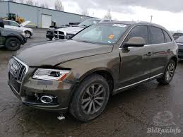 Image result for Maya Brown 2014 Q5