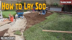 Augustine sod in my garden (myself) about 3 to 4 weeks ago. How To Lay Sod St Augustine Grass Diy For Beginners Part 3 Youtube