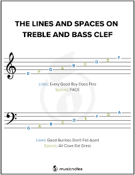 Essential Music Theory Guides With Free Printables