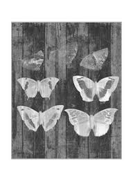 Shop Oraonline Rustic Butterfly Chart Iii Wall Poster Grey