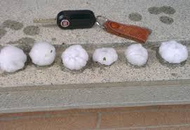 Meteo bologna oggi, previsioni orarie, temperature, precipitazioni, mari e venti, neve, irraggiamento solare, inquinamento atmosferico e qualità dell'aria, pollini, webcam, weather forecast. Reggio Emilia Forti Temporali Su Tutta La Provincia Grandine A Scandiano E A Rubiera Foto Video Reggionline Telereggio Ultime Notizie Reggio Emilia