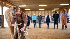 OUR EXPERTISE IS SHOWING. The American Association of Equine Practitioners  has chosen Dr. Katie Sheats, associate dean and director of professional  education and admissions at #NCStateVetMed, to receive its Distinguished  Educator Award
