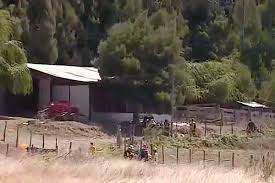 See more of coses de tomas on facebook. Oy Fc1dje6ilnm