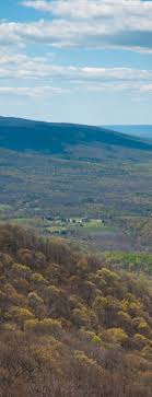 Certified Financial Planners & Advisors