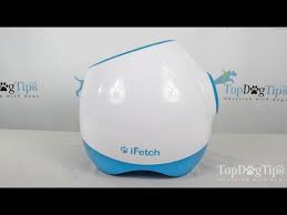 The world's most popular automatic ball launcher now designed for bigger dogs. Ifetch Too Interactive Ball Launcher For Dogs Review 2018 Youtube