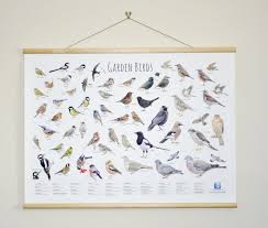 Garden Bird Id Chart Wall Hanging