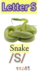The #letter #S is the 19th #letter in the modern #English #alphabet. It is  a consonant and can be pronounced with different #sounds depending on the  word and context. The most common sound is the "s" ...